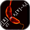 Modeling Caulobacter Cell Cycle Control