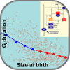 Stochastic_Models